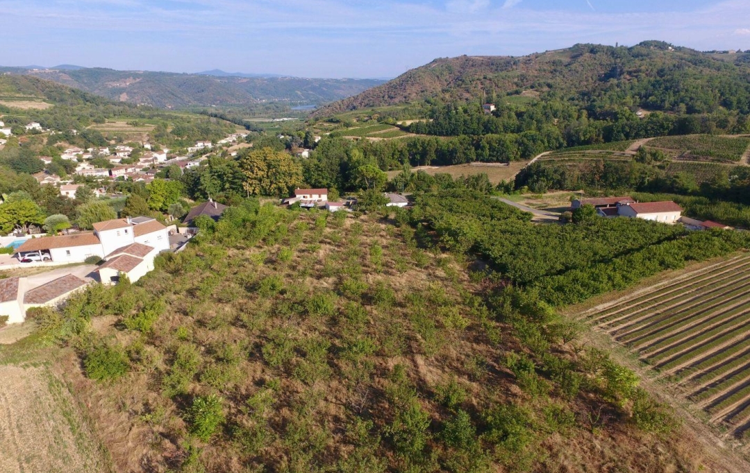 Annonces TOURNON : Terrain | CROZES-HERMITAGE (26600) | 0 m2 | 93 000 € 